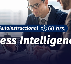 Curso Business Intelligence (Perfil Gestión)